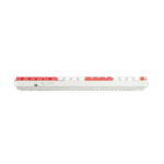 Newmen GM1000 Dragon Tiger Gaming Mechanical Keyboard - Image 2